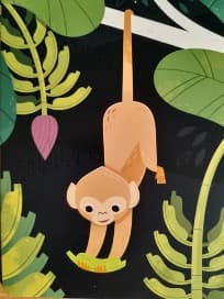 Perfectionsime Coaching Perfectionsime Coaching