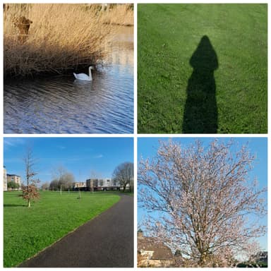 Ben jij klaar voor het lentegevoel in je hoofd en lijf? - Perfectionisme Coaching Ben jij klaar voor het lentegevoel in je hoofd en lijf? - Perfectionisme Coaching